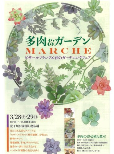 20260328荒子川　多肉ガーデンマルシェのサムネイル